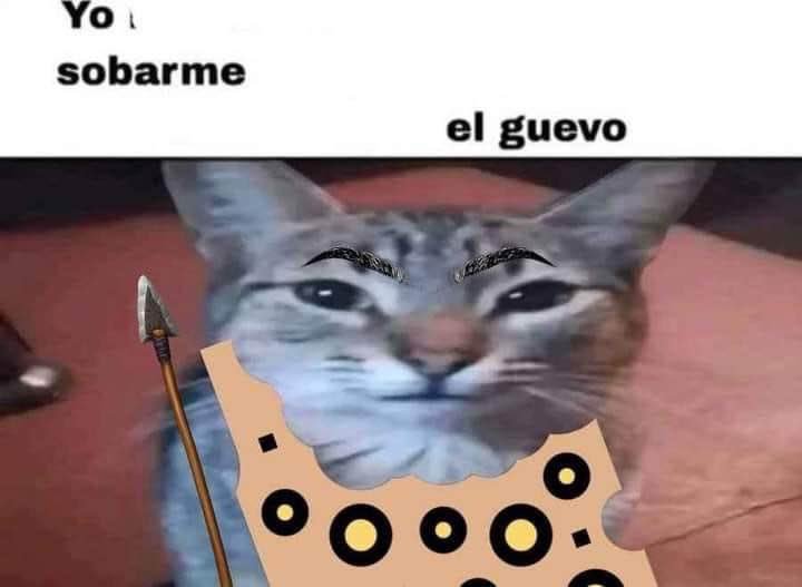 LucaMorales0's tweet photo. Estoy tomando mate con dos estudiantes de inglés noche previa a un parcial y me siento así con mis humildes tecnicismos informáticos https://t.co/hvfn8vQiCS
