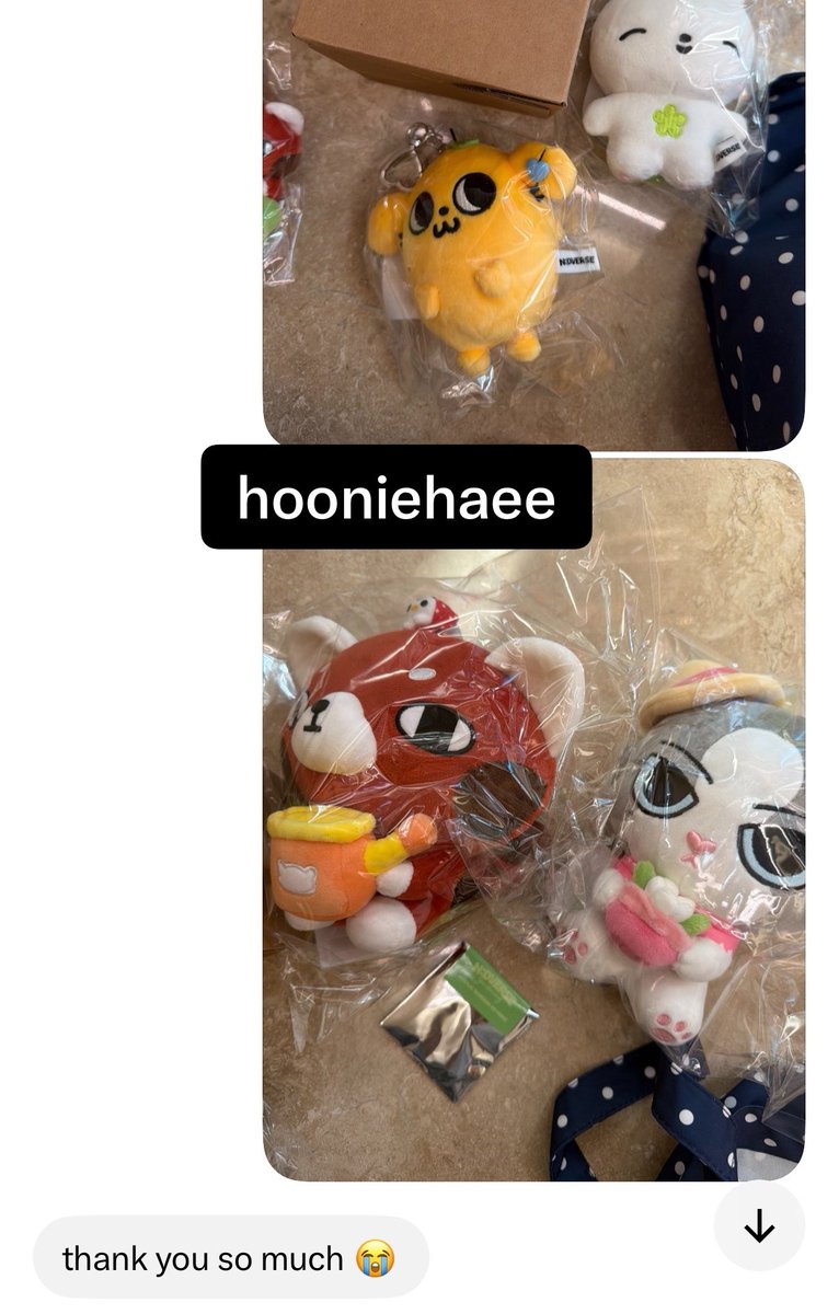 hooniehaee's tweet photo. Popup proxy purchases proof https://t.co/6XrsnKrOuy