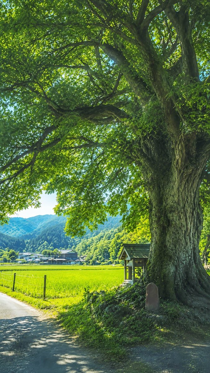 Toru Sato | Nostalgic Japan on X: 