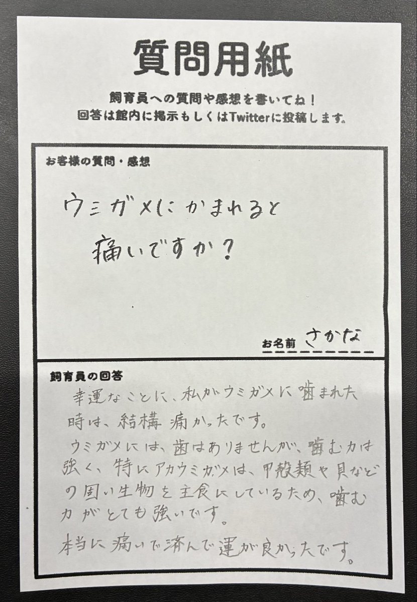 umigame_kouen's tweet photo. 質問コーナー https://t.co/lqf0kuX9R2