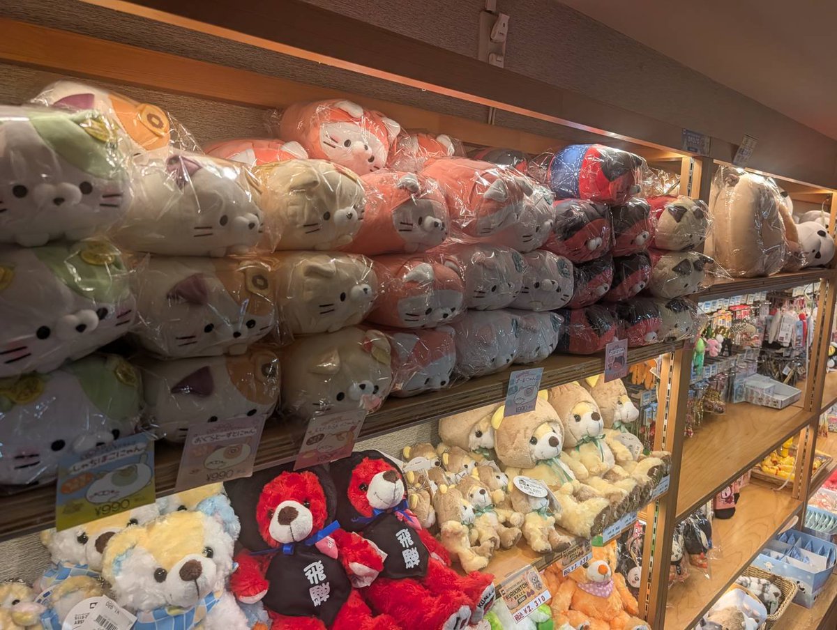 koro2nyanco's tweet photo. 恵那峡SA下り
2026年9月1日
 #ころころにゃんこ
 #ご当地ころころにゃんこマップ https://t.co/frmHpACrlT