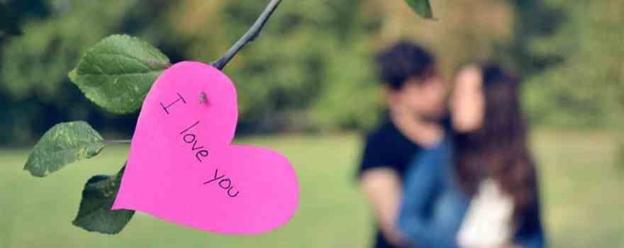 HPIM_com's tweet photo. Celebrate romance with a 6 days Shimla Kullu Manali honeymoon package featuring scenic valleys, snow adventures, cozy stays, candlelight moments, and seamless travel via https://t.co/jGQ9VAivQq.
#ManaliHoneymoon https://t.co/P2dlTUzHYA