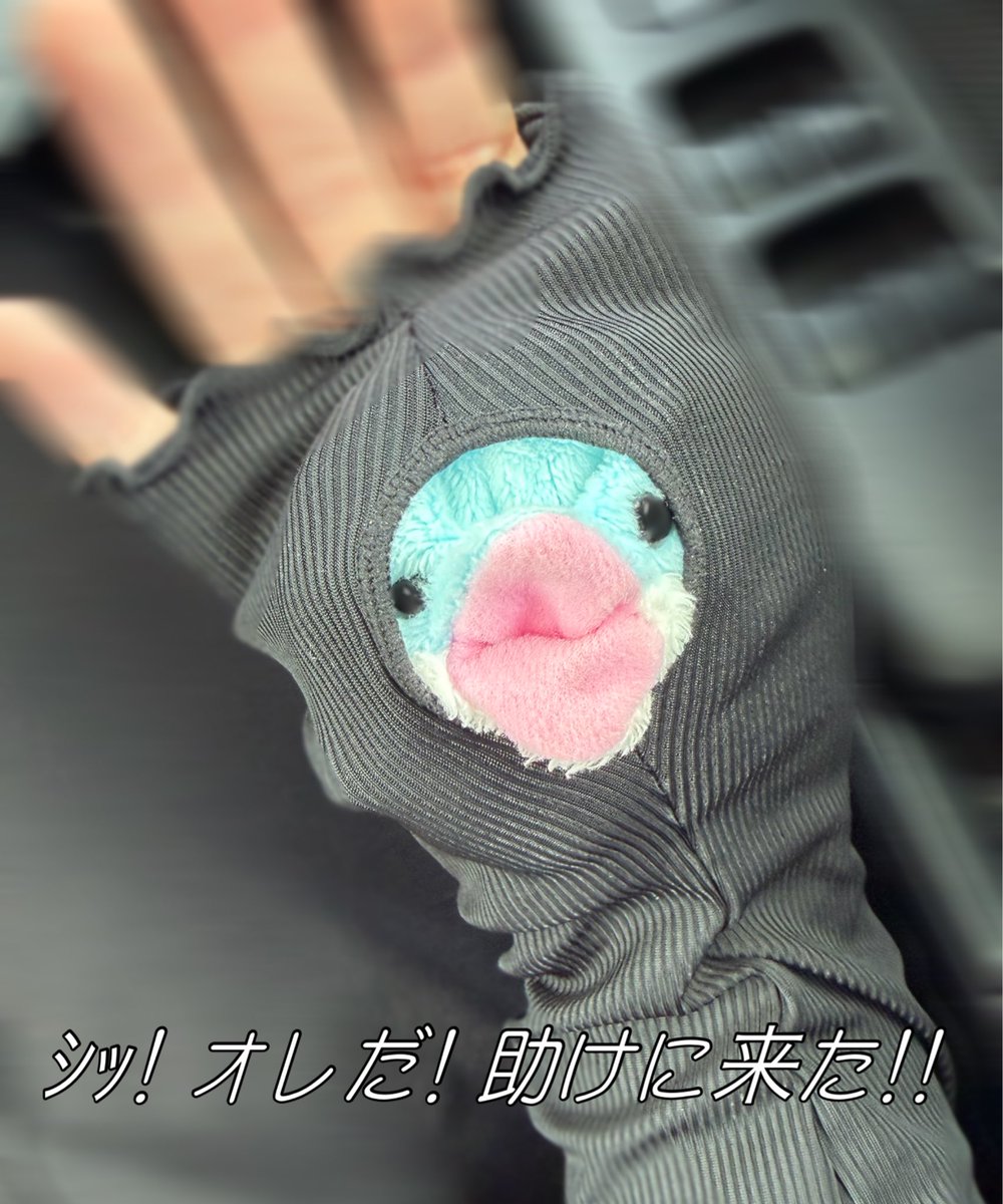 lady_chisaine's tweet photo. 残暑のヒーロー https://t.co/tWyWWkj5yb