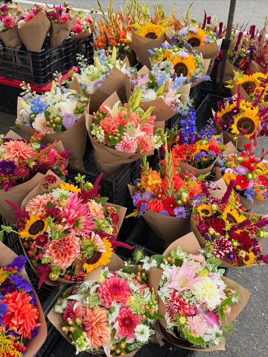 Flowersidmb's tweet photo. https://t.co/uoJ9g2uHZh