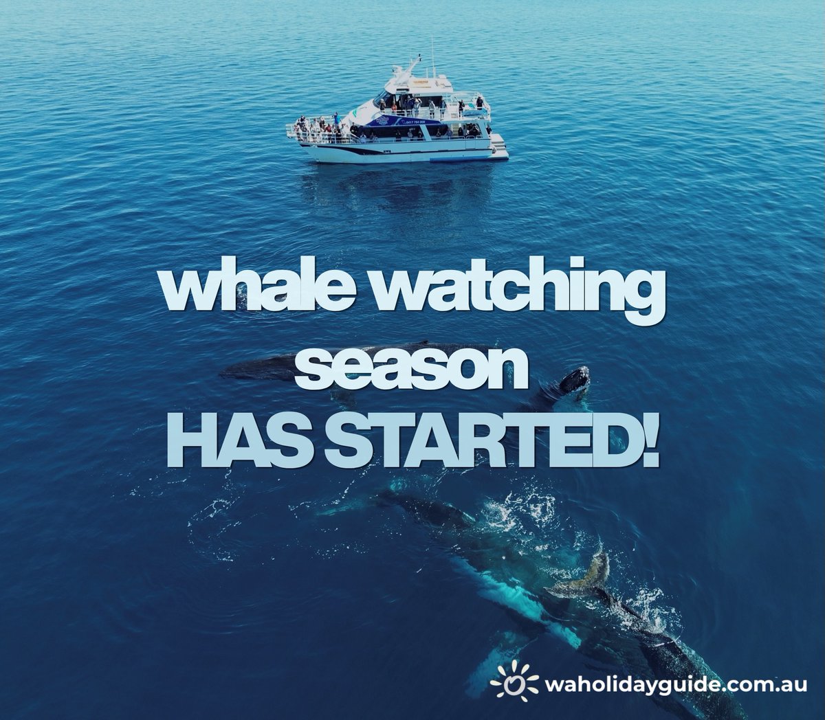 emeshur's tweet photo. Set sail with All Sea Charters and spot whales, dolphins, seals and seabirds along Western Australia’s spectacular coastline. South West tours from $65 per child and $95 per adult. https://t.co/o4KB9RFpR7