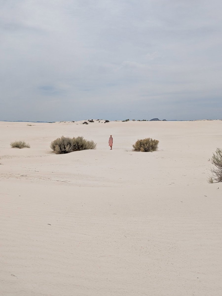 ButterflyRuth2's tweet photo. Santa Fe road trip highlights: my talented gf @goodtrashbunny’s poetry reading, White Sands, petroglyphs, the best milkshake of my life at Pistachioland, and somehow, a Stonehenge in Texas. https://t.co/KEXQUXSqjN
