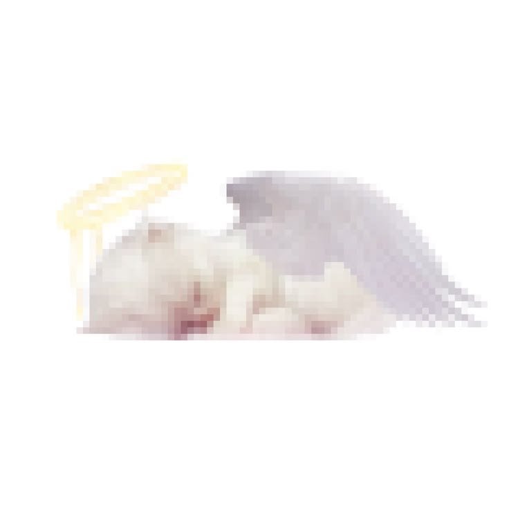 uhmndoce's tweet photo. Triste pq minhas amigas n querem ver foto minha gostosa e depressiva https://t.co/UNv2n8rv7S