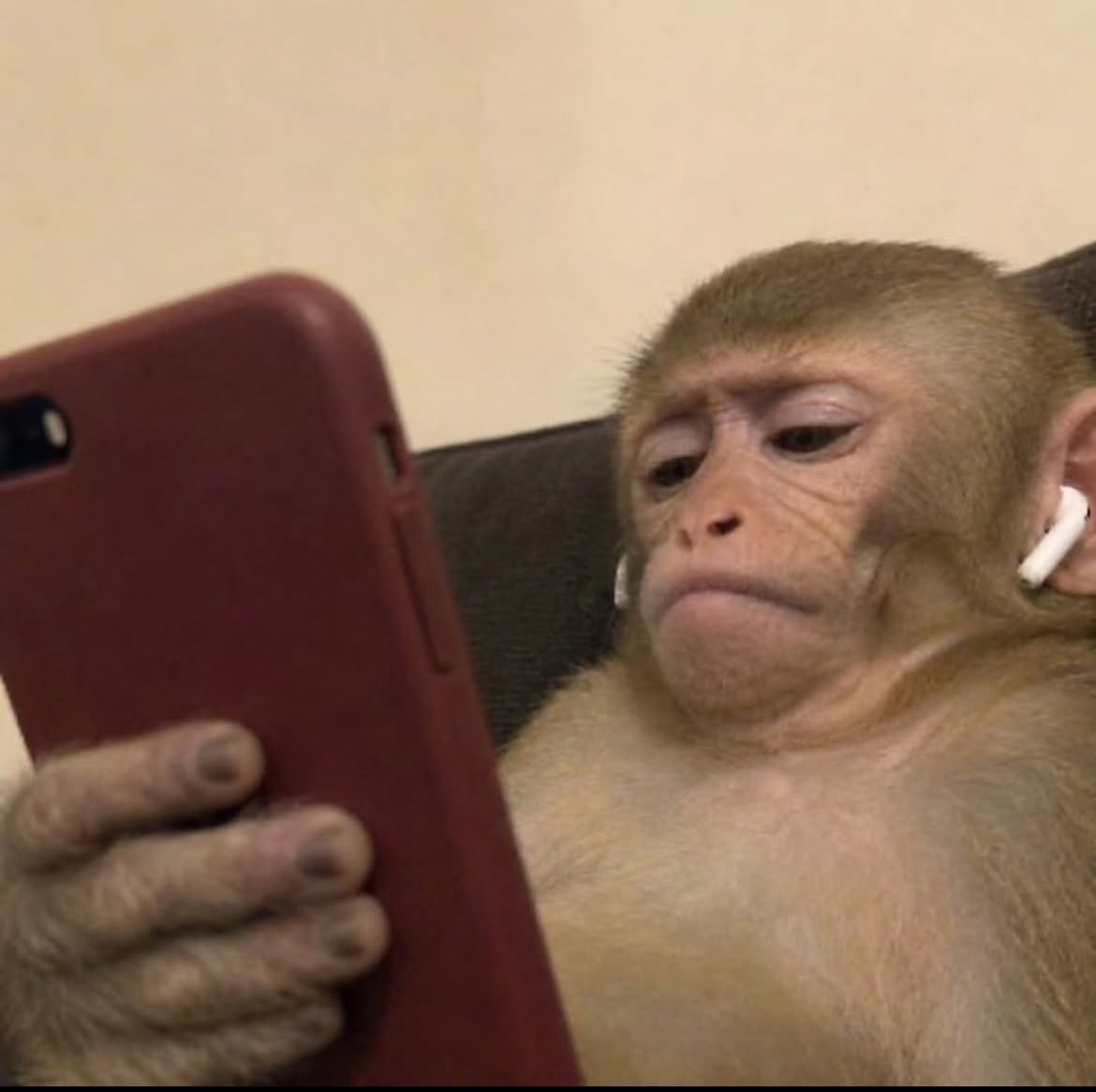 Giant_shado's tweet photo. @pp_privatejet Me seeing pp notification tipping others and waiting patiently for my turn 

Umbrage1 https://t.co/PFyBWea4A9