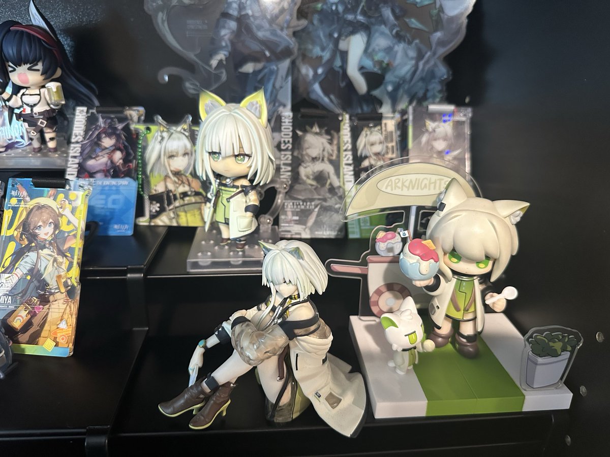 br4datron's tweet photo. Need more merch for the Kal’tsit corner. https://t.co/RQAU5WDz2p