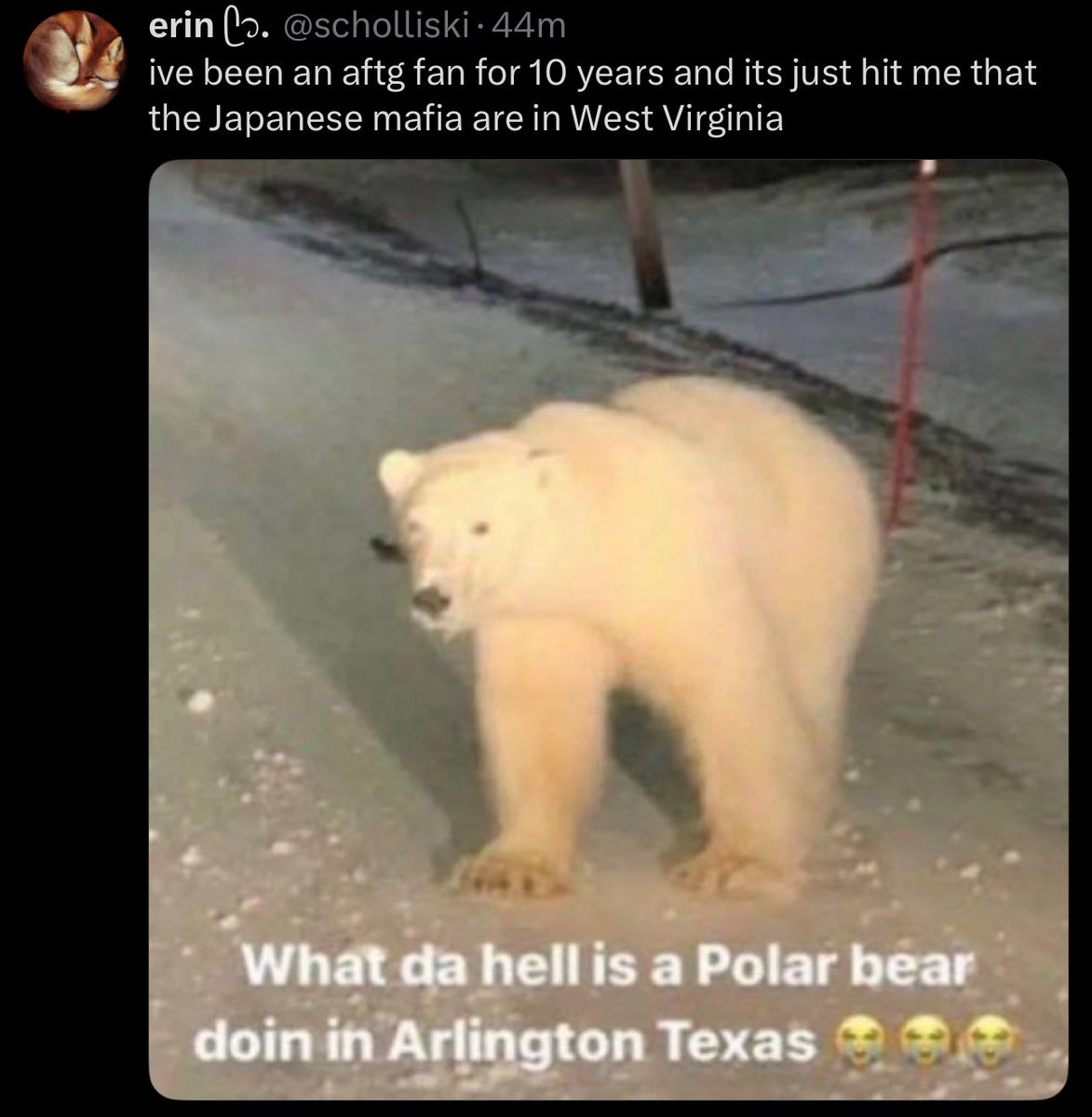 aftgstruggles's tweet photo. https://t.co/iiqUx98eoR