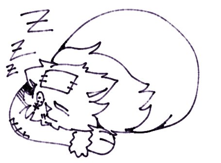 jesterspouse's tweet photo. * the lazy old magician is fast asleep as usual. https://t.co/ueFnDrwK8I