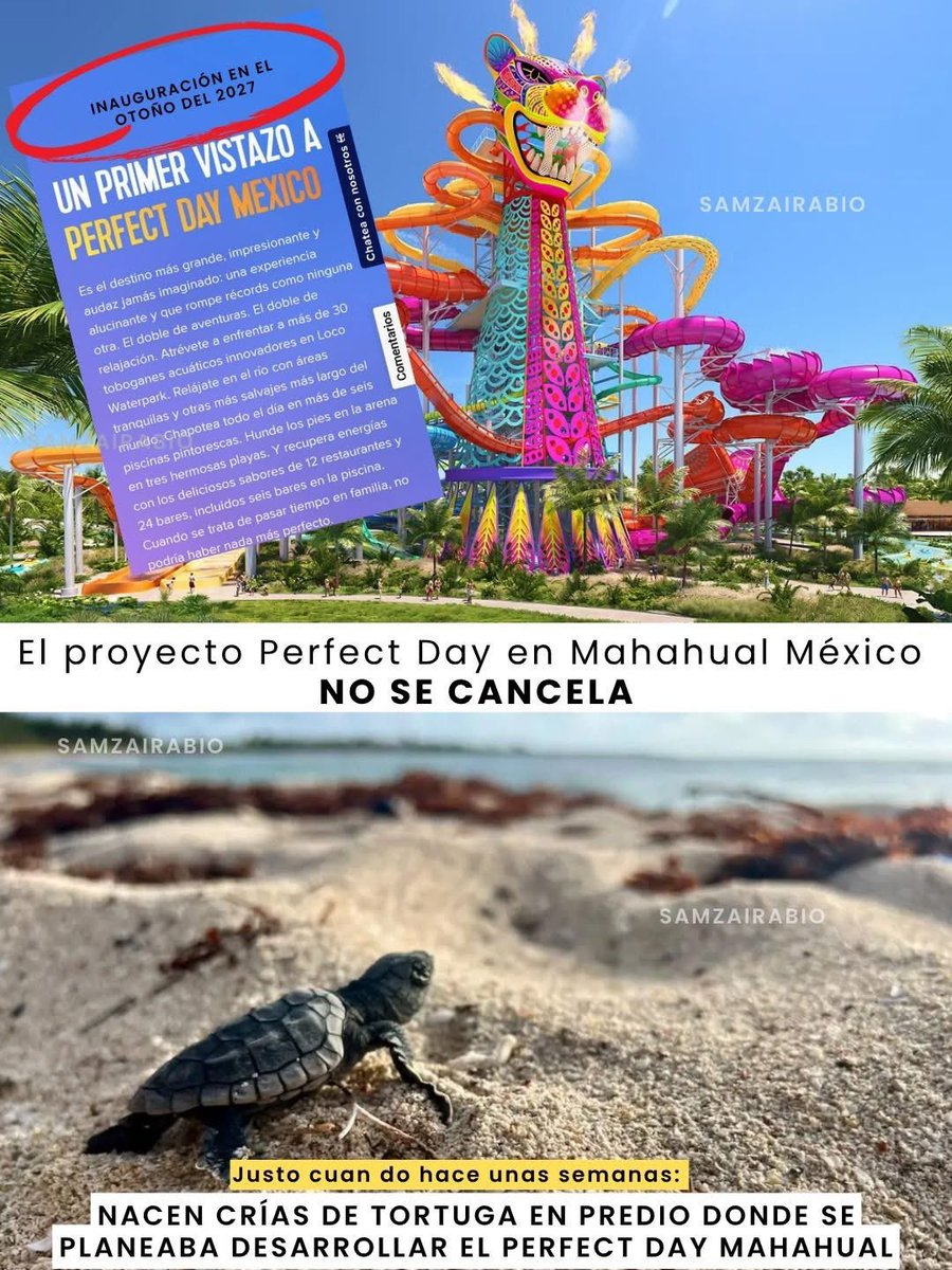 iHUGCI3L's tweet photo. Por favor hay que dar visibilidad a otros que son igual de importantes que el mahahual ‼️‼️‼️ https://t.co/mSuHdQ44hU