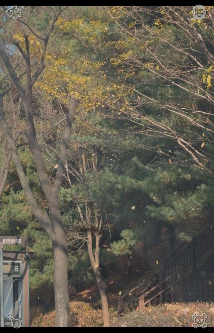 sy4hme's tweet photo. Clara faces him, emotions swelling within her, and softly admits, “Ethan, I love you as well.” It marks the first occasion in years that those words have crossed her lips, and the confession feels liberating—like the release of a heavy burden, a glimpse of the bright future u https://t.co/w4KV66mLFJ