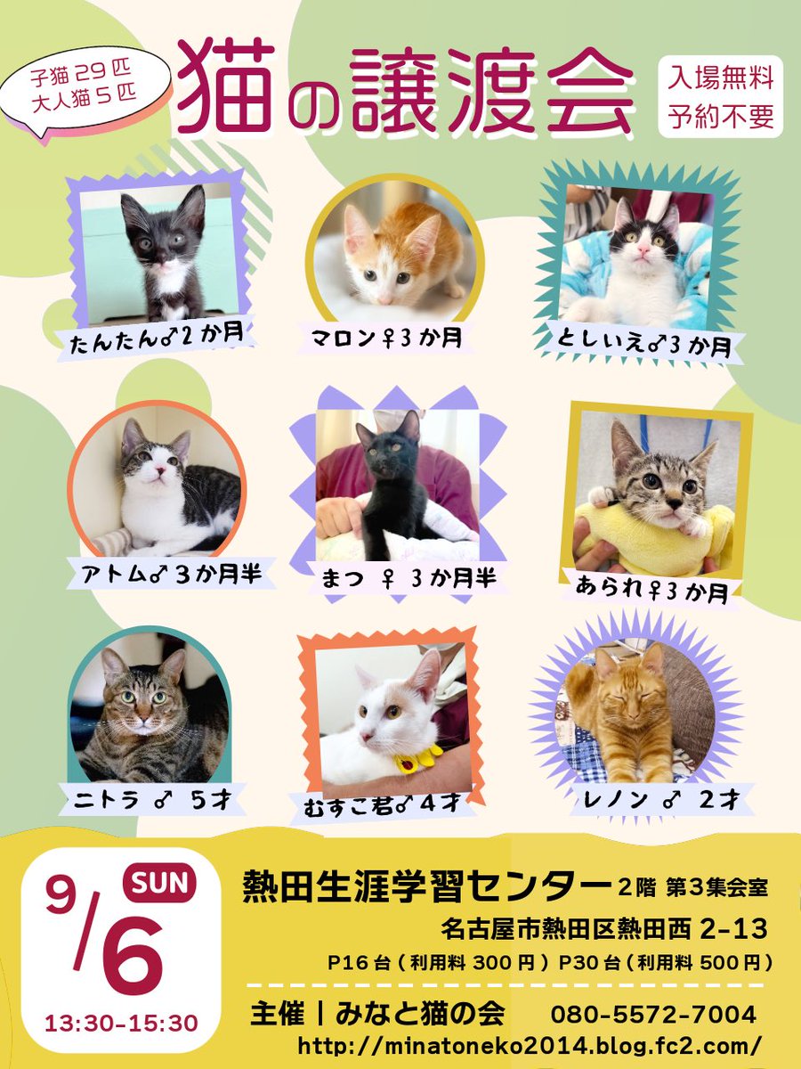 minatonekonokai's tweet photo. #拡散RPお願いします 
\ 猫との新しい生活、始めてみませんか/

【保護猫の譲渡会】
9/6(日)13:30-15:30
名古屋市熱田生涯学習センター

この情報のリポストが、猫たちの未来につながります

タイムラインを通じて、猫たちの声が、まだ見ぬ家族へ届くようご協力願います🍀

#猫好きさんと繋がりたい https://t.co/oS02SldaMH