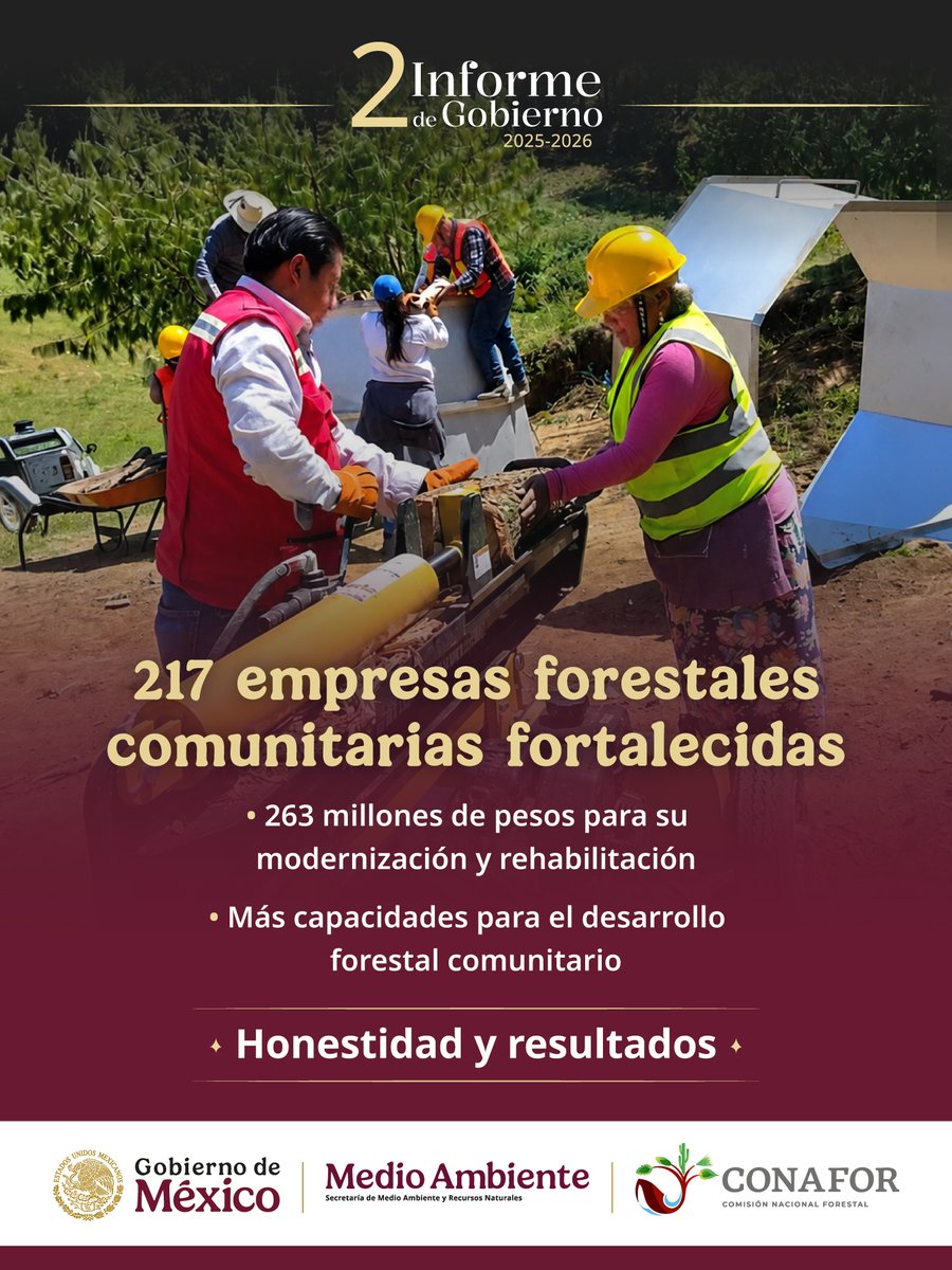 CONAFOR's tweet photo. En estos 2 primeros años, la CONAFOR apoyó a empresas forestales comunitarias para fortalecer sus capacidades e impulsar un aprovechamiento sostenible que genere valor agregado desde las propias comunidades 🌳🤝.

#2InformeDeGobierno #HonestidadyResultados https://t.co/xgTQ1nP02N
