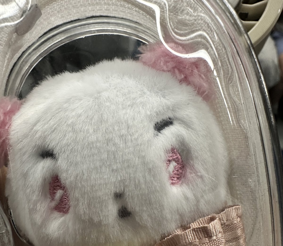 G_tte_'s tweet photo. 공계가 여기만 있어서 올랴요~
지하철 1호선에서 플레이브 므메미무 떨구신 분 ���엠 주세요 가방 안에 들어있는데 사람 많은 출근길에 밟힐까봐 바로 줍고 주인 찾으려고 하는데 어디론가 사라지심.. 팬분들 알티해주세여... 주인분 옷 떨군 시간 다 기억해여
#플레이브 #플리 #므메미무 #미무 #밤비 https://t.co/9u9mqQ03wx