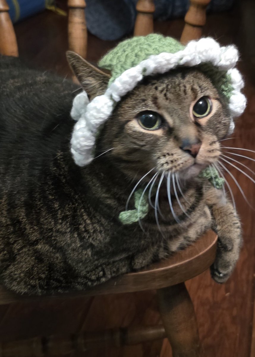 WrathfulTurtle9's tweet photo. @eepys0up See a pussy, post a pussy https://t.co/1JSjww9Zgg