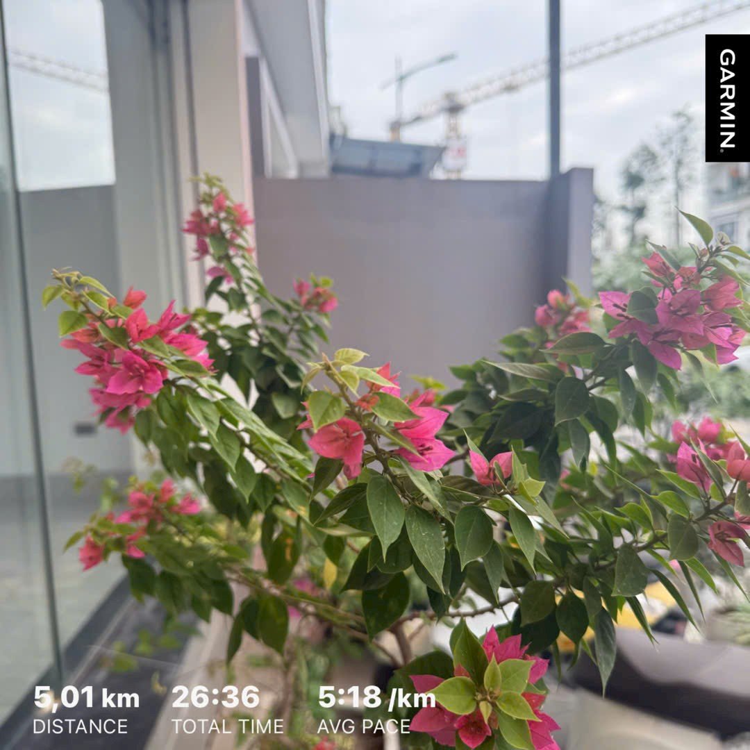 marcophuong1990's tweet photo. 🏃‍♂️ Chạy nhẹ 5km thôi 😌
Không cần nhanh, chỉ cần đều.
Một chút vận động, một chút mồ hôi, một ngày thêm năng lượng! 
💪🔥
#5K #Running #ChayBo #KeepMoving https://t.co/9VwbOJHvCv