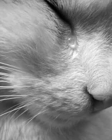 BusterOmlakyau's tweet photo. لا تقلق كثيرًا، فكل شيء يمر، وما كتبه الله لنا سيكون دائمًا خيرًا
KvIHBvXE https://t.co/ZjnWYQ6LTa
