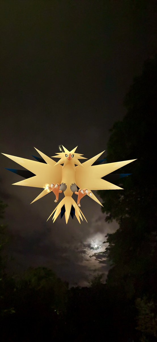 wenty_222's tweet photo. 🌔⚡️
#GOsnapshot #GOsnapshotCelebration 
#ポケモンGO #PokémonGo https://t.co/cL2d7R82du