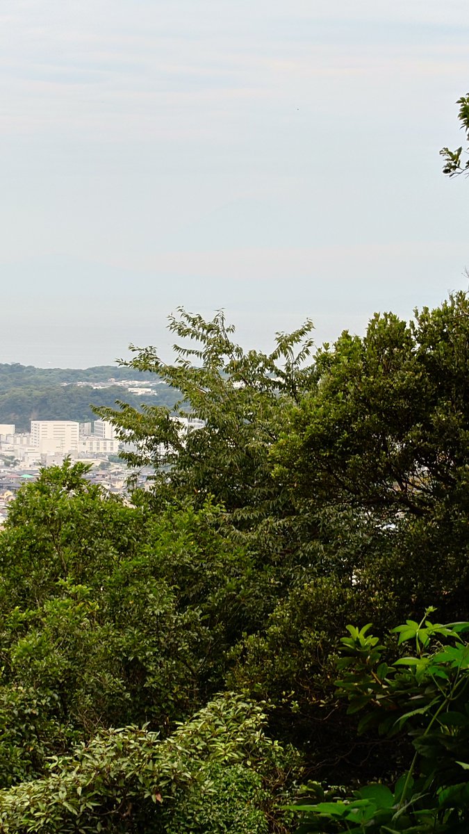 hidering7146's tweet photo. 今朝は近場の低山トレラン
15キロコース
昨日の大山登山で筋肉痛の為
スローペースにて。
#サロモン
#ワークマン https://t.co/cpwXMIrEpo