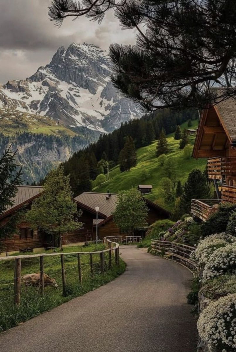 travelgirl_love's tweet photo. 【予算18〜35万円】（3泊4日）

🇨🇭スイス

一度は行ってみたい、絵本みたいな絶景が広がる国🇨🇭🏔️✨

どこを切り取っても美しすぎるアルプスの山々に、透き通った湖、かわいい街並み🥹🤍
絶景を眺めながら列車で移動するだけでも���映画のワンシーンみたいな気分に🚞✨ https://t.co/TlvbIxh2hu