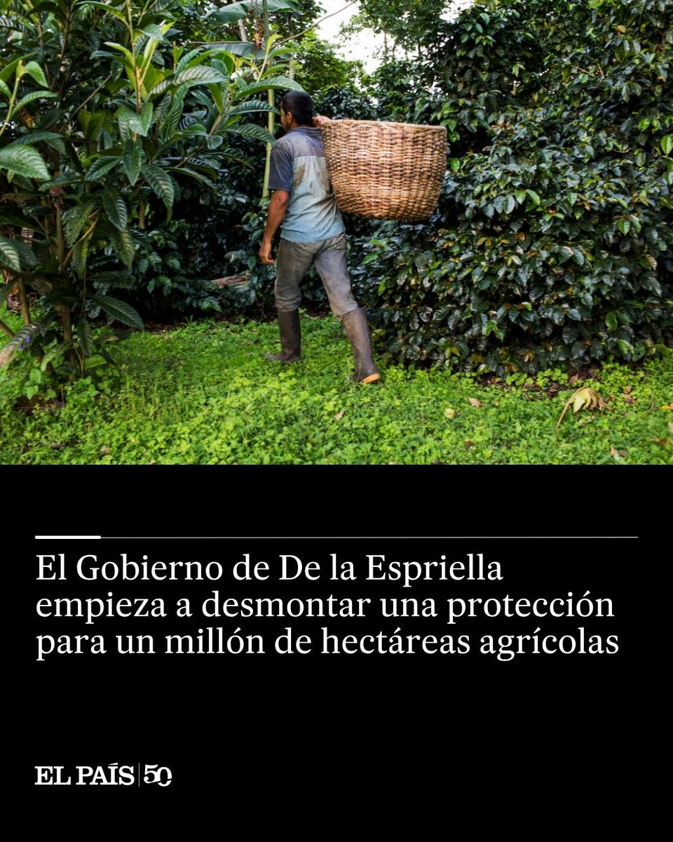 elpais_america's tweet photo. El Ministerio de Agricultura deroga cinco Áreas de Protección para la Producción de Alimentos, que blindaban los mejores suelos de la minería y la expansión urbanística. La Corte Constitucional estudia si las llamadas APPA violan la autonomía de los municipios
https://t.co/jjE5DsROrJ
