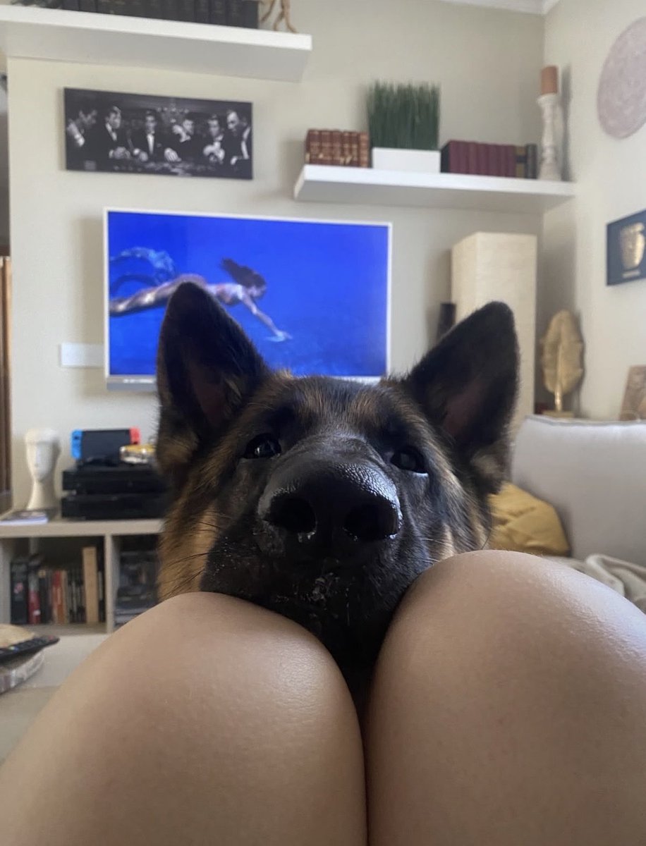 _siilvinha_'s tweet photo. I’ve been cooking up something insanely hot with my friend 👀🔥

https://t.co/cgkSnh4KdE

#knotted #animallovers #hypnotist #nfsw #dogtrainer
#AsS
#Beastiality #weekendvibe #tits #Beast #zoophillia
#dogpill #wanking #KnottedRP https://t.co/TUS8Mn2EhX