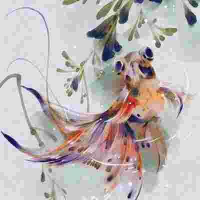 DDDriver85 tweet picture