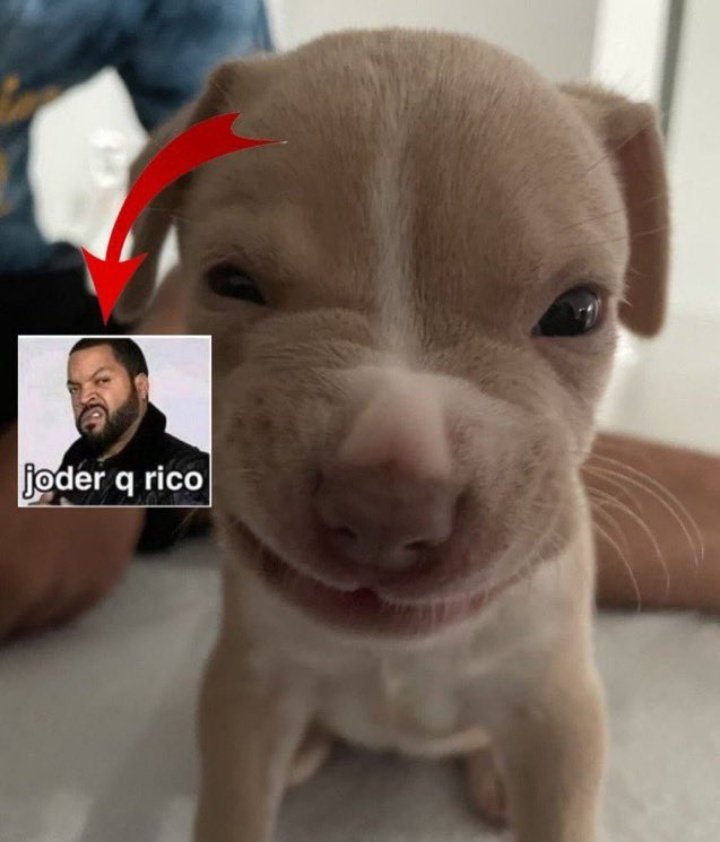 imn0tty0u's tweet photo. ok pero mi mamá hizo sopita ñam https://t.co/mbzTUYXP8G