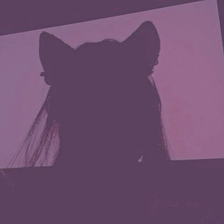 HOWLATHEMCCN's tweet photo. ⠀
 ⠀ ⠀ full moon 🌕 
 ⠀ https://t.co/D1GxquX9gL