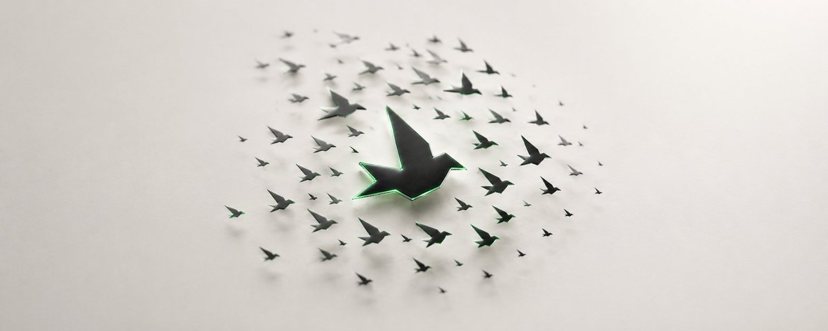 finchnests's tweet photo. One finch is a tool. One nest is a system. 

https://t.co/F43MZa8CD7 https://t.co/Ry8VzCm3HT