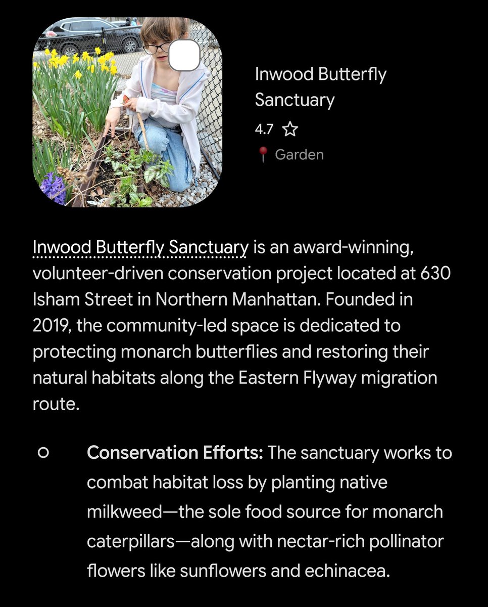 KeithJDeCesare's tweet photo. https://t.co/kqXyhhk7GC
#guerrillagardening #sunflowersforpeace #InwoodButterflySanctuary #WeGrowLife
The imperative of stewardship often means environmental activism. #bridgingtomorrow
When even #findingelon is a waste of time. @We_Grow_Life @InwoodButterfly https://t.co/VZ3AypTTzW
