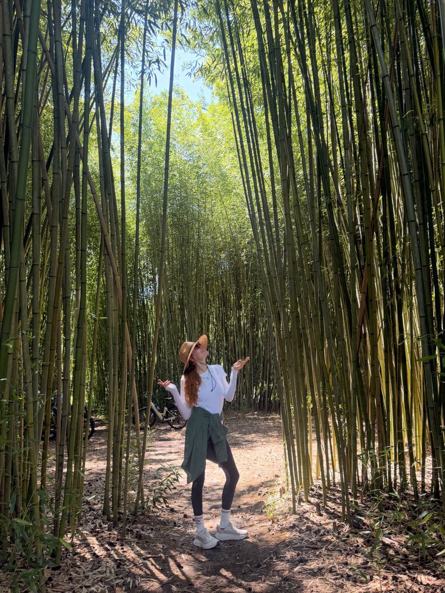 LauraPrepon's tweet photo. Summer walk… ☀️🧛🏻‍♀️ https://t.co/SvdQpDO6Dt