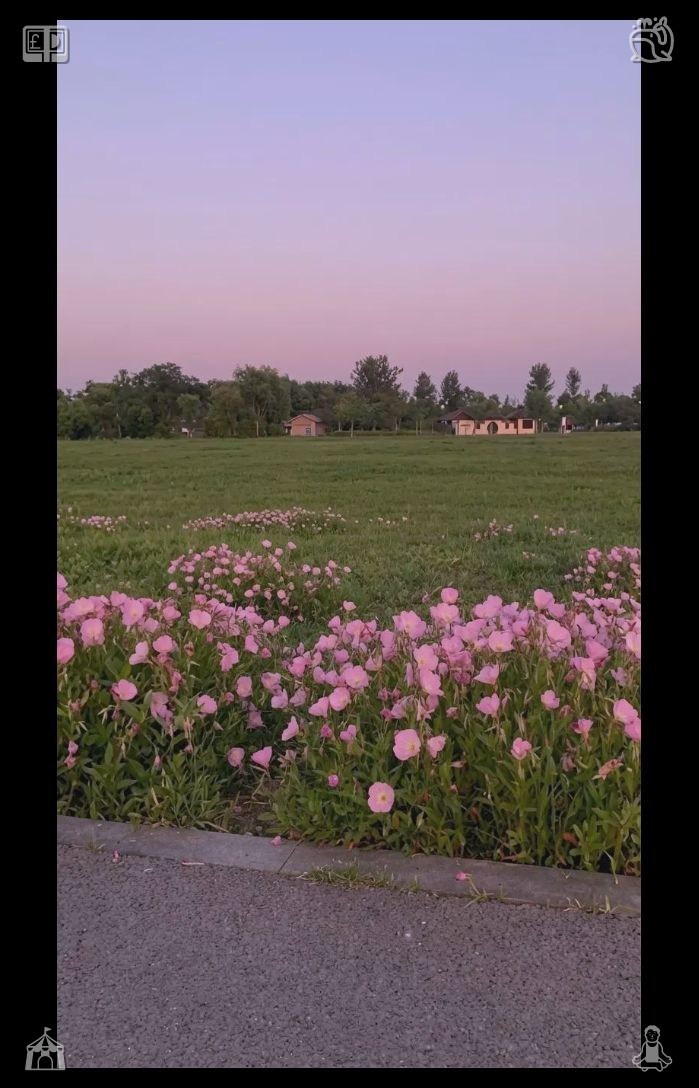 naaahoo_'s tweet photo. Lila left the park behind, the pendant resting snugly against her skin, the journal tucked safely in her bag. She understood then that Clara and the hidden tale of Starlight Amusement Park would stay with her forever. https://t.co/21xidz8Z9W