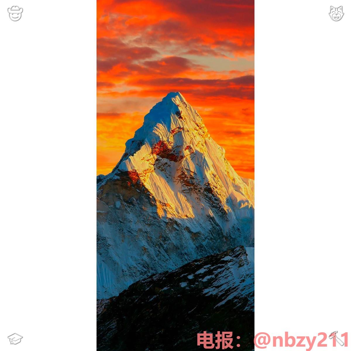 FallenNexus24's tweet photo. 🔬办证🩲刻章🐓
📏马来西亚/莱索托/利比亚/委内瑞拉/身份🌗证
办🎄护照🍟
📺毕业👒证💐学信⚔网👦真实🚛可查🌩成人中等专业学校🍰留服认证🏇英语等级证🥱专业硕士学位证书🦛司法鉴定人执业证🖱特种设备作业证🩲一级建造师证😐出入证 通行证🦶消防设施操作员证💻
🐕2026-09-04 08:49:20 https://t.co/E42S2WOaz3
