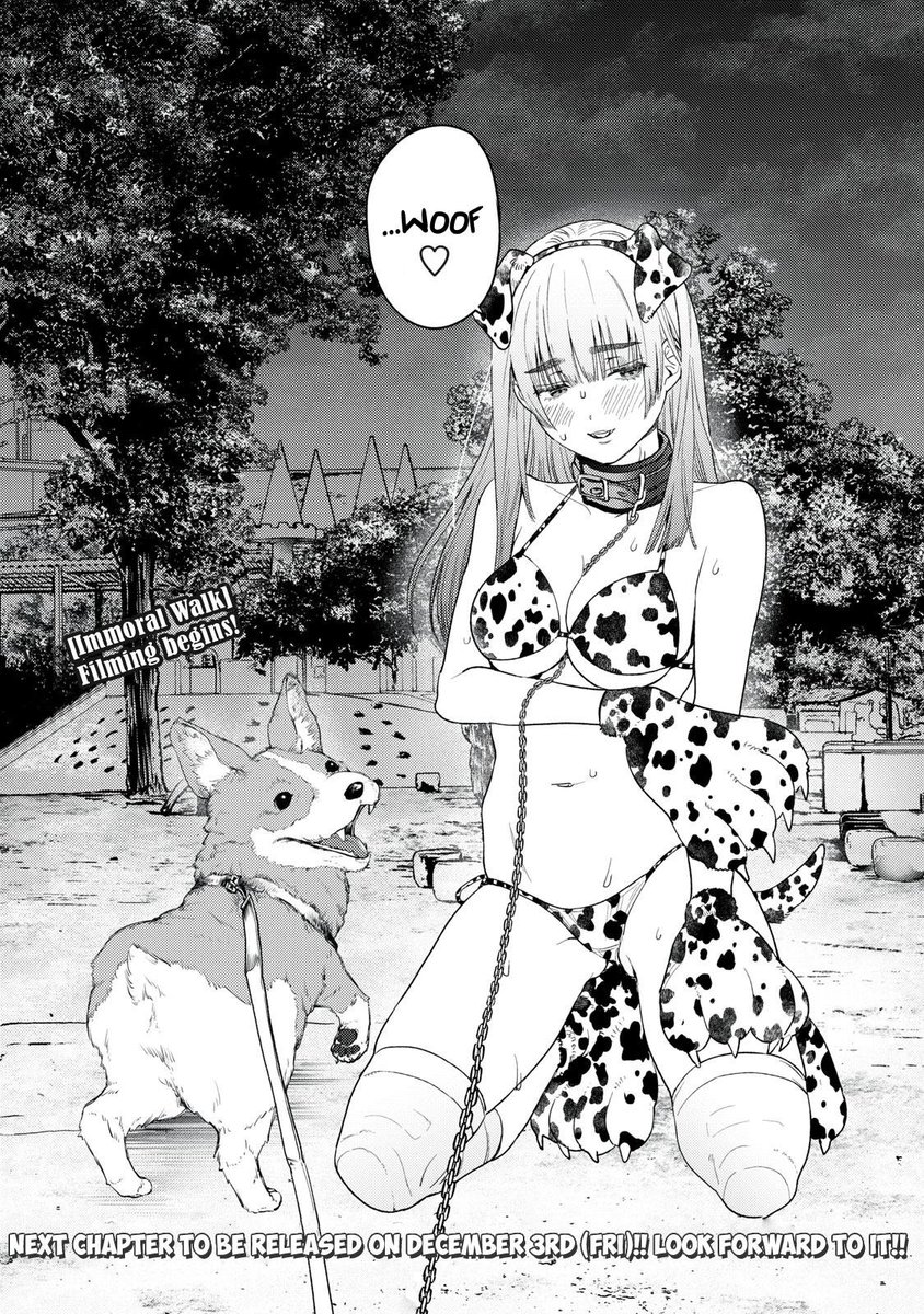 yu_hoo2's tweet photo. This is what peak looks like 👍 https://t.co/XzhRCiw9Go