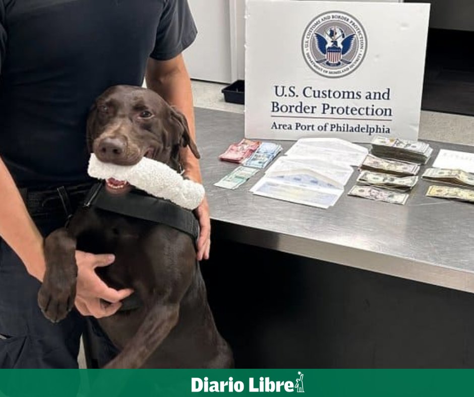 DiarioLibre's tweet photo. 🇺🇸 | #DiarioLibreUSA | Perro de CBP detecta US$19,000 ocultos en equipaje de pareja rumbo a RD

Aquí los detalles 🔗https://t.co/mpJ3zDlCCN
Foto: X CBP

#DiarioLibre #CBP #Incautación https://t.co/2d7nwlbX8z