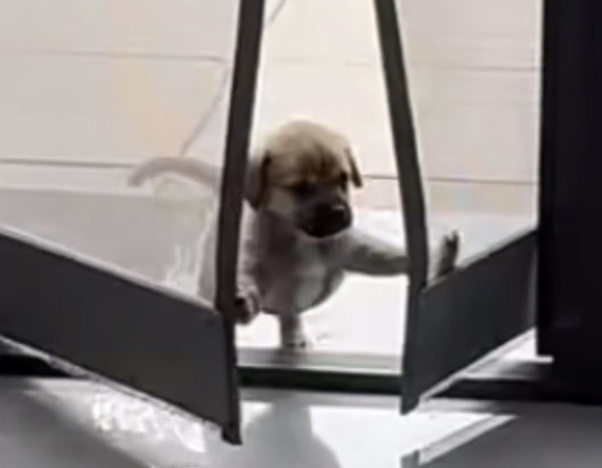 twaniimals's tweet photo. https://t.co/5ux78cma9d
