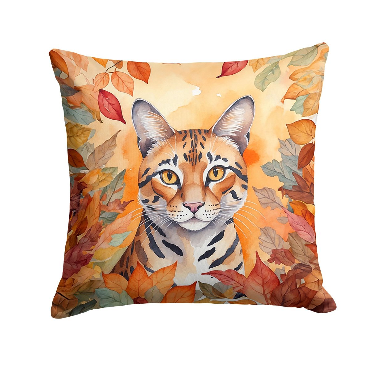 giftshomedocor's tweet photo. Fall Thanksgiving Pillows & Comforters for a Cozy Autumn Home
https://t.co/MufALpvGRN
https://t.co/X3tr8oBIoY
#FallPillows #ThanksgivingPillows #FallComforters #ThanksgivingDecor #FallHomeDecor #CozyBedroom #FallBedroomDecor #AutumnHome #CozyHome #GreatGiftsHomeDecor https://t.co/tfI30IPdyA