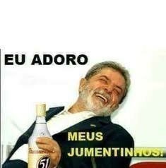 lsjsjala's tweet photo. @lazarorosa25 @LulaOficial https://t.co/I49D7RyV2V