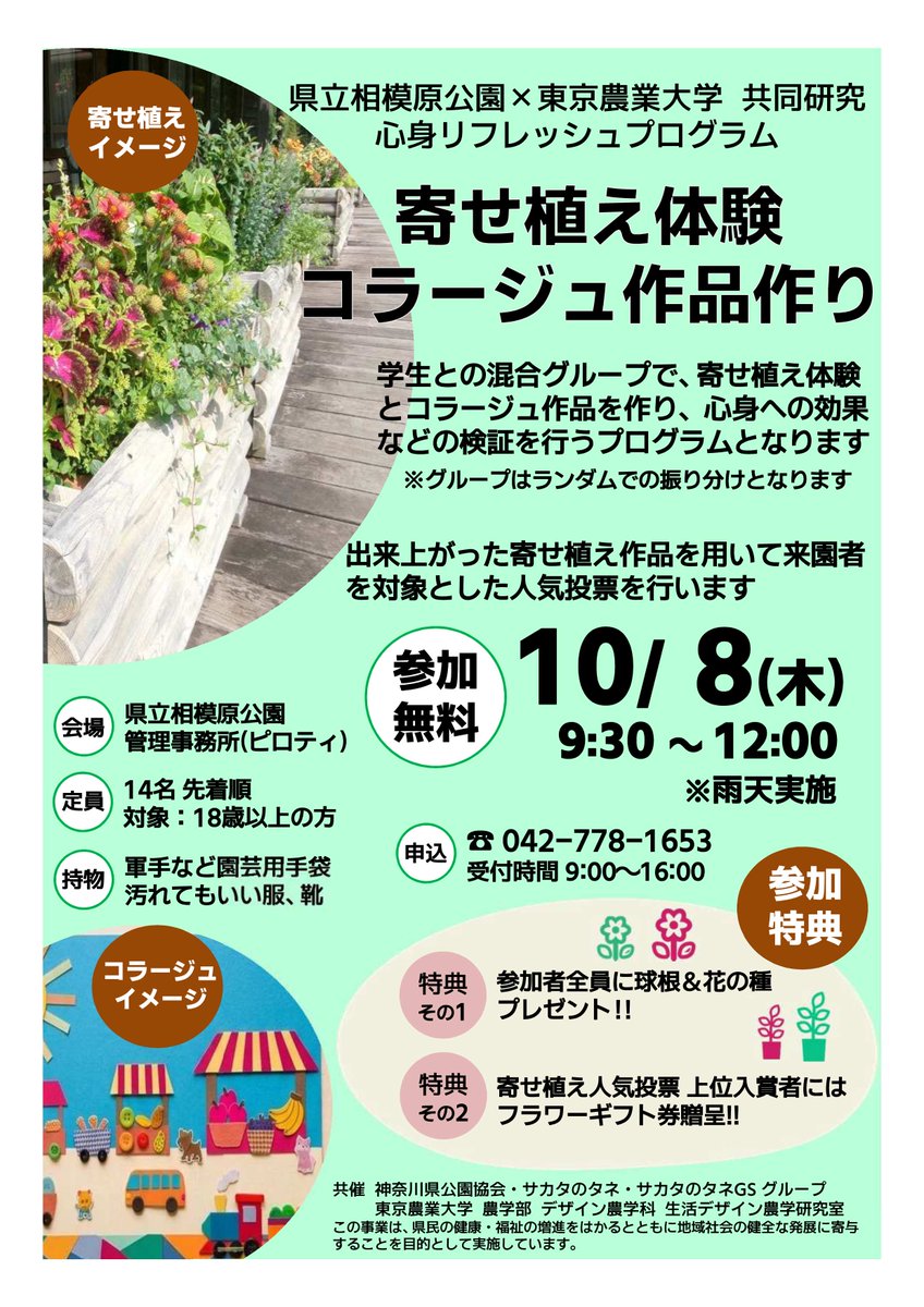 sagamiharapark's tweet photo. 【参加者募集中】県立相模原公園×東京農業大学 共同研究企画
学生との混合グループで、寄せ植え体験とコラージュ作品を作り、 心身への効果などの検証を行う参加型のプログラムです。
参加いただいた方全員に球根＆花の種プレゼント!!
詳細は以下URLよりご確認ください↓↓↓
https://t.co/0RiZ4lQRpL https://t.co/U53TjPGsIB