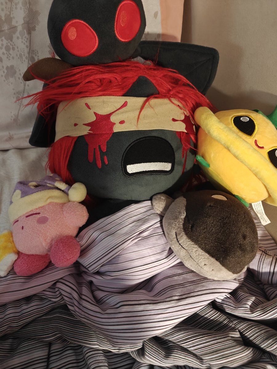 aerilateb00sted's tweet photo. sorry honey I want to sleep with my toys tonight https://t.co/ZwBp0PMoK0