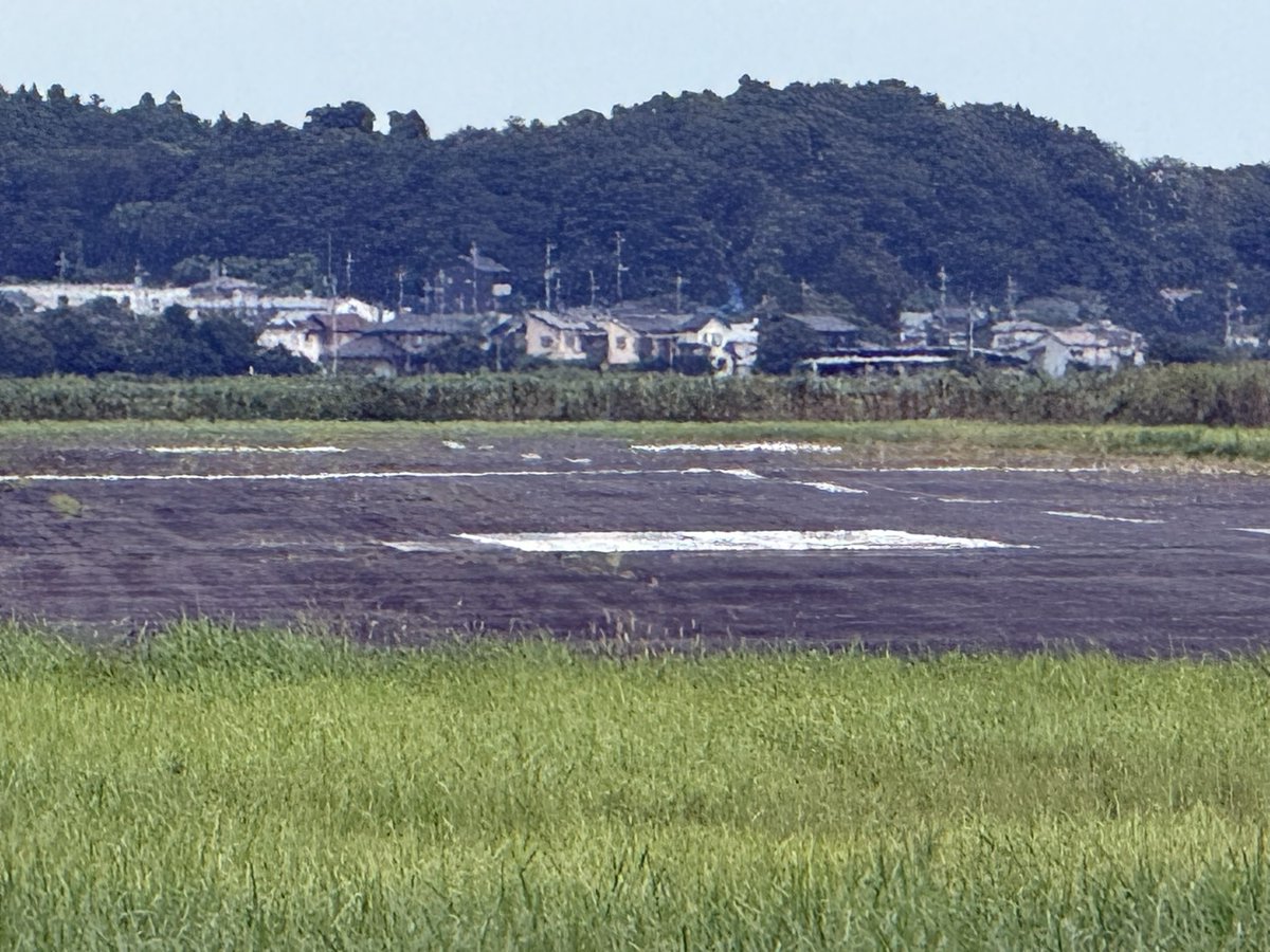 Nagacman's tweet photo. ジャンプ聖地巡礼してきた。
受付の方が親切で当時の撮影の様子まで話してくださり感激でした。
遊覧飛行でいつか空から撮影したい

#エビ中
#エビ中聖地巡礼
【竜ヶ崎飛行場】
https://t.co/BAzAZWvMeI https://t.co/it5Aab1Ouj