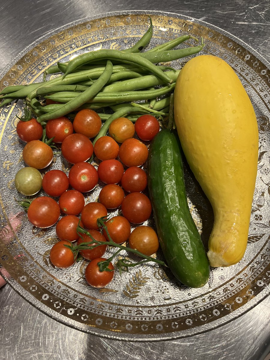 drawntosenia's tweet photo. Garden to table! 😋 https://t.co/XkpHgo8e1R