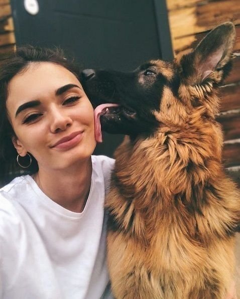 Lisapawsth's tweet photo. https://t.co/SaN2CAzPjG

🐾❤️ Every moment with my dogs is special! These throwbacks bring back so many good memories 🥹 Subscribe now for more! https://t.co/hT1jRWVlnS