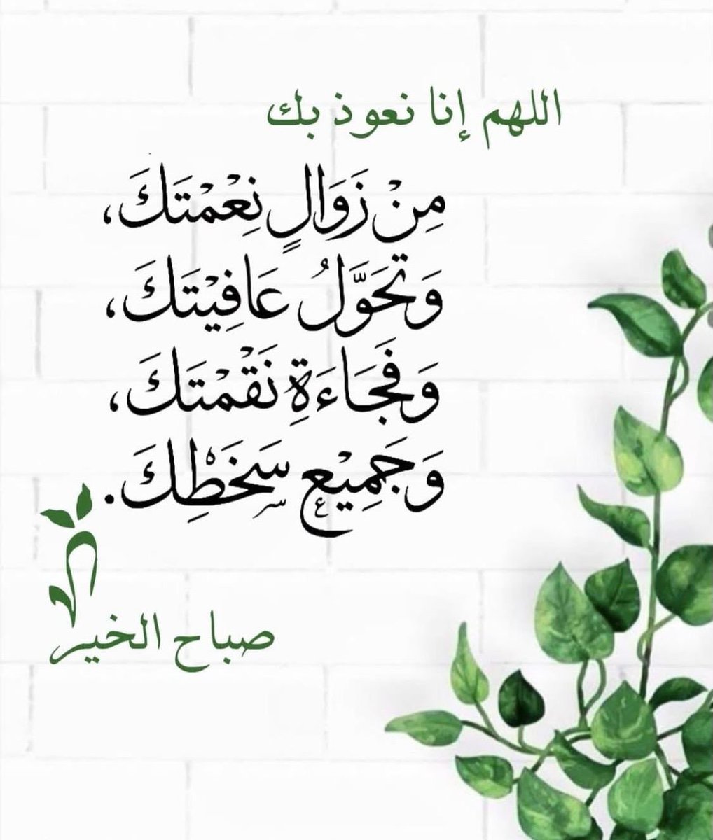 saadkwt77's tweet photo. اللهم في هذا الفجر أسألك راحةً تملأ قلبي
وفرحًـا يضيء أيامي وتوفيقًا يرافقني في كل 
خطوة اللهم حقق لي ما أتمــنى واكتب لي 
من الأقدار أجمــلها واجعل مستقبلي خيرًا 
مما أتخيل واختم لي أيامي بالرضــــــــــا 
والطمأنيــنة والسعـــادة

صباح الخير https://t.co/dPZWeNDrDH
