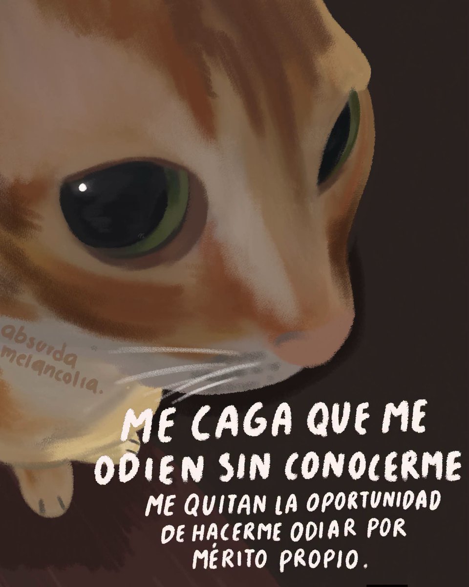absurdamela's tweet photo. https://t.co/kiloxi6gTo
