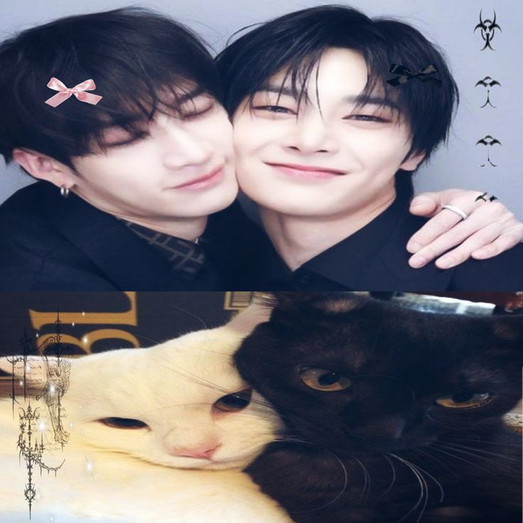 soownies's tweet photo. 🦊+🐺 https://t.co/VYjJ0pObwD