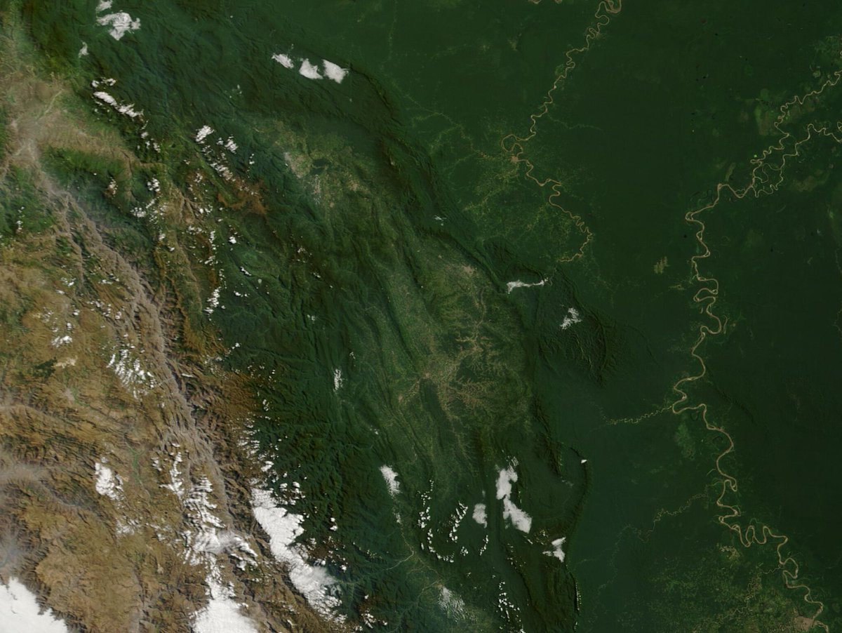 hombredeltiempo's tweet photo. Perú es un deslumbrante conjunto de contrastes, con hermosas costas oceánicas, imponentes (y a veces intimidantes) montañas y exuberantes selvas tropicales. El tercer país más grande de Sudamérica, también es extremadamente biodiverso, con más de 20.375 especies de flora, según Biofin, y proporciona hábitat a al menos 1.847 especies de aves (tercero en el mundo), 523 especies de mamíferos (quinto en el mundo) y 624 especies de anfibios (cuarto en el mundo). El país ocupa el primer lugar en especies de peces (2.145 especies) y mariposas (4.000) y, de manera singular, también se encuentran en este asombroso país más de 4.000 especies de papa.

El 28 de agosto de 2026, el espectrorradiómetro de imágenes de resolución moderada (MODIS) del satélite Terra de la @NASA capturó esta imagen en color real de una parte de Perú.

En la parte inferior izquierda (suroeste) de la imagen se observa la niebla marina extendiéndose sobre una porción de la costa del Pacífico. La costa brumosa da paso rápidamente a las escarpadas y accidentadas cumbres de la cordillera de los Andes, con escasa vegetación. Hacia el este, las montañas se transforman en colinas y luego se aplanan para albergar la densa selva amazónica. El río Huallaga (al norte) y el río Ucayali (al sur) nacen en los Andes y serpentean generalmente hacia el noreste a través del norte de Perú. El agua que forma el río Ucayali fluye, a través de ríos más pequeños, desde las alturas de los Andes. El río Ucayali es la principal fuente del río Amazonas.